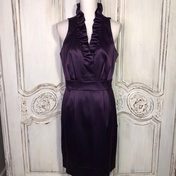 Just Taylor Gorgeous Purple Sleeveless Ruffle V Neck Waisted Party Dress Size 12 - Picture 1 of 10